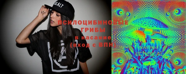 крисы Навашино