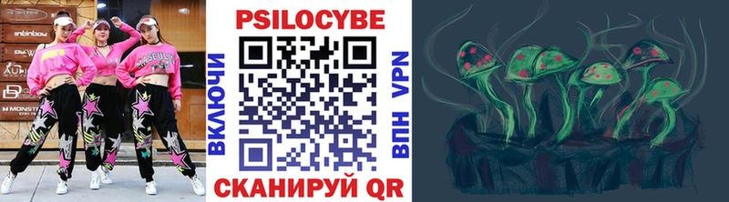 Галлюциногенные грибы Cubensis  Нестеровская 
